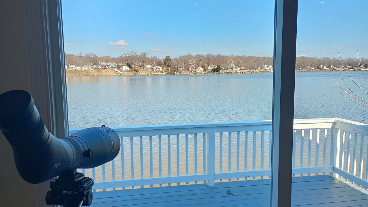 Photo of Others in White Marsh