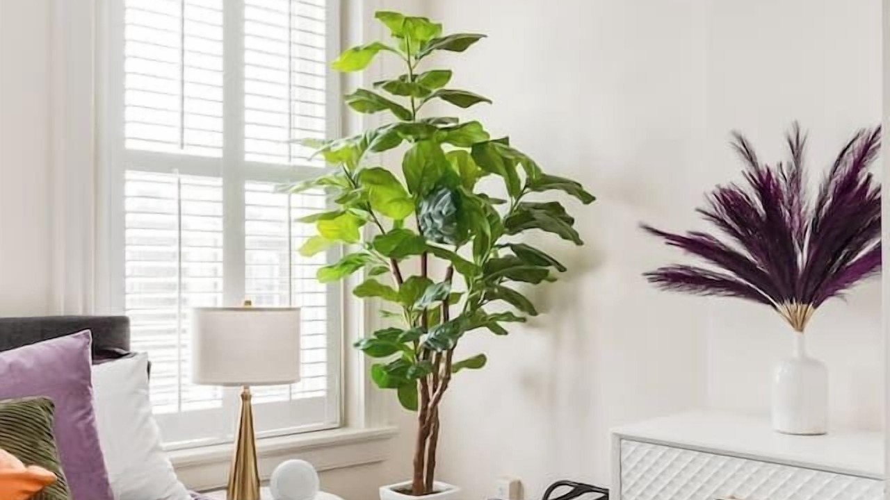 Photo of Bedroom in Fan District