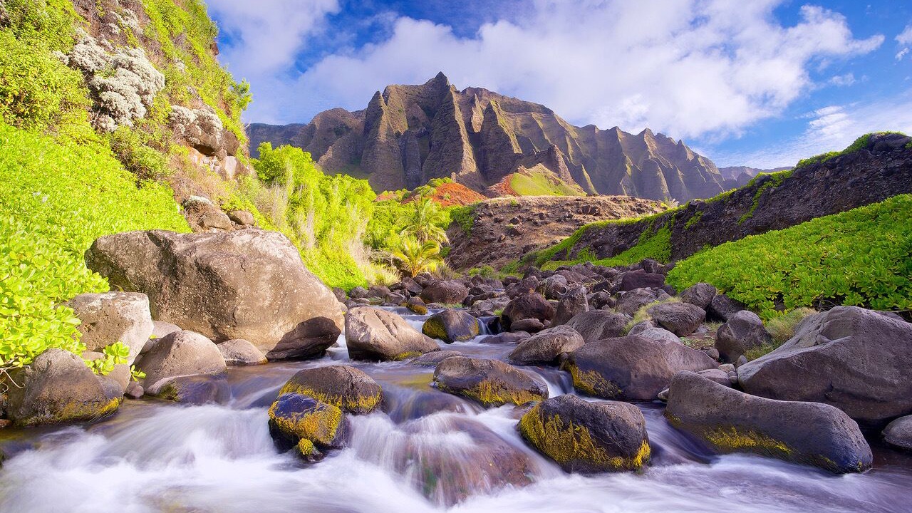 Photo of Others in Kaiulani