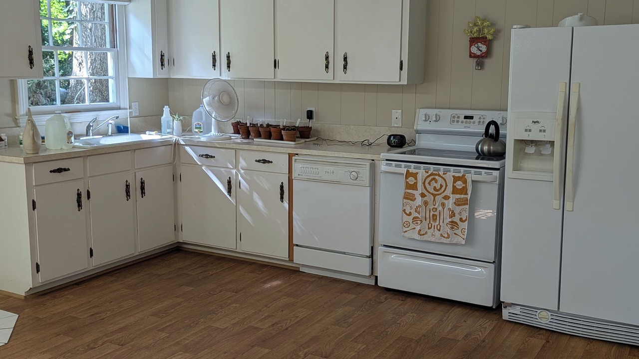 Photo of Kitchen in Winston - Salem