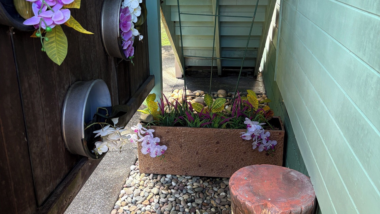 Photo of Outdoor in Keaau