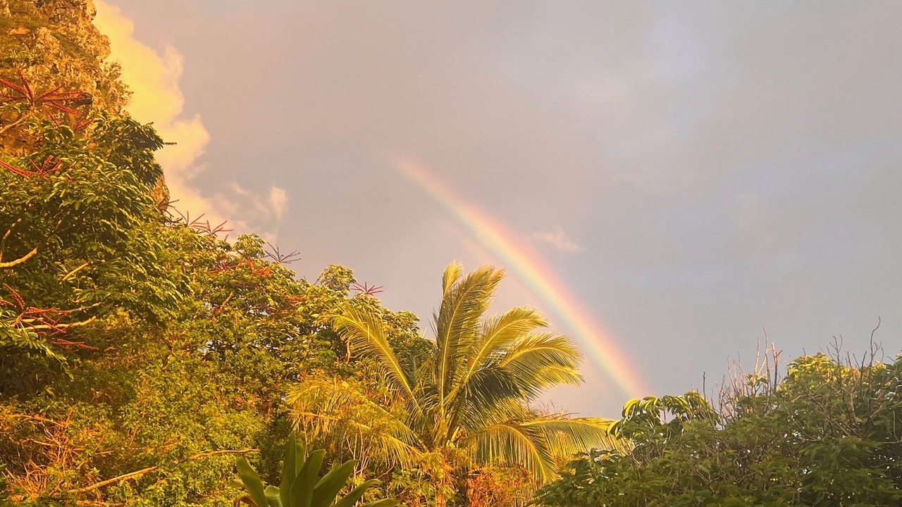 Photo of Others in Ka'a'awa