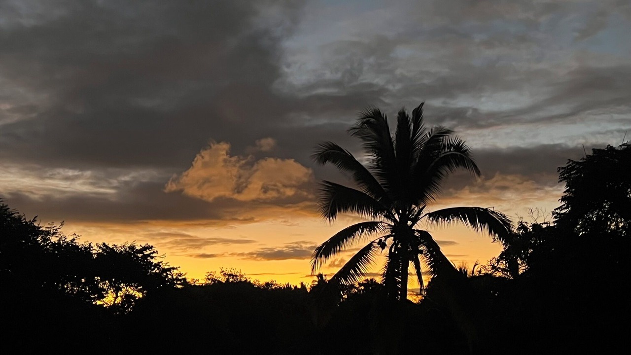 Photo of Others in Ka'a'awa