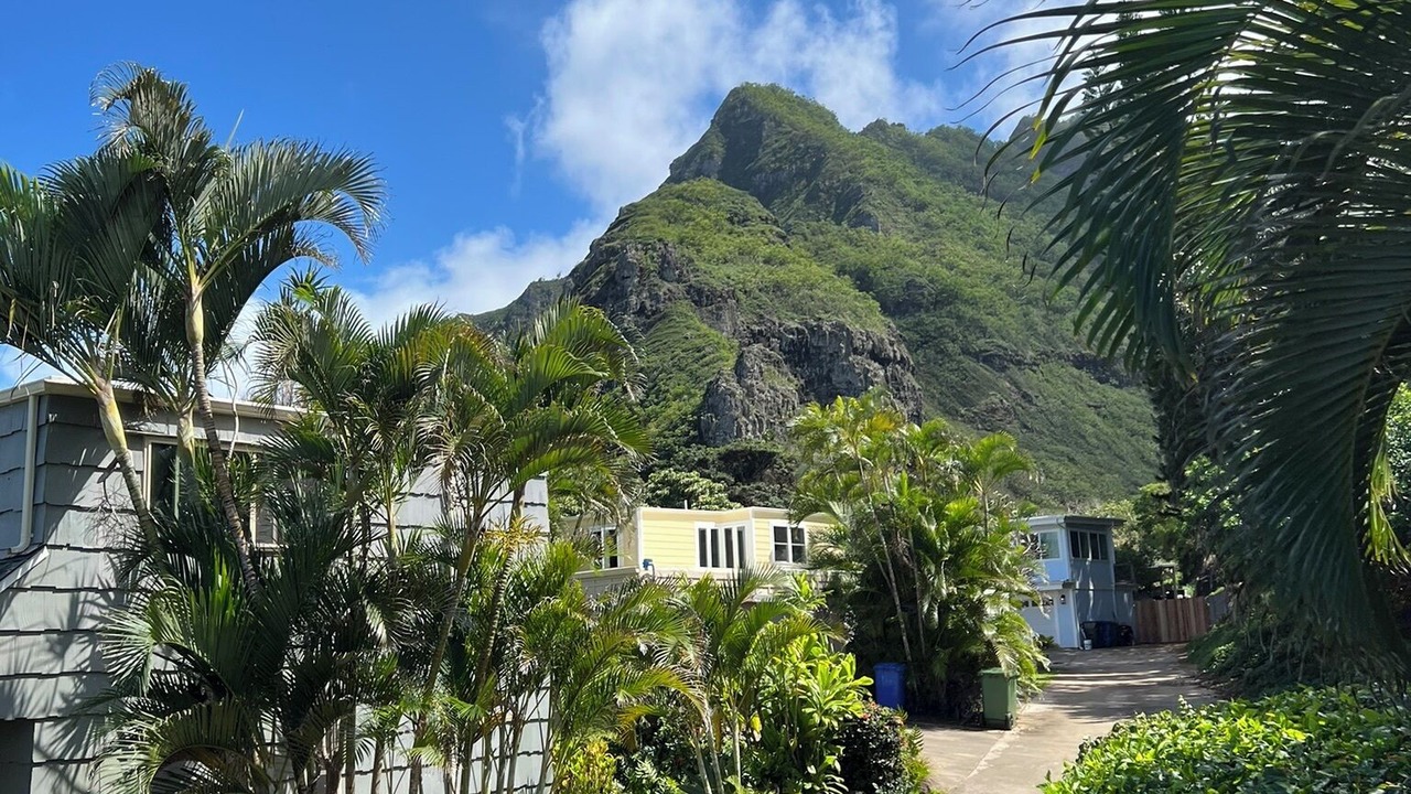 Photo of Outdoor in Ka'a'awa