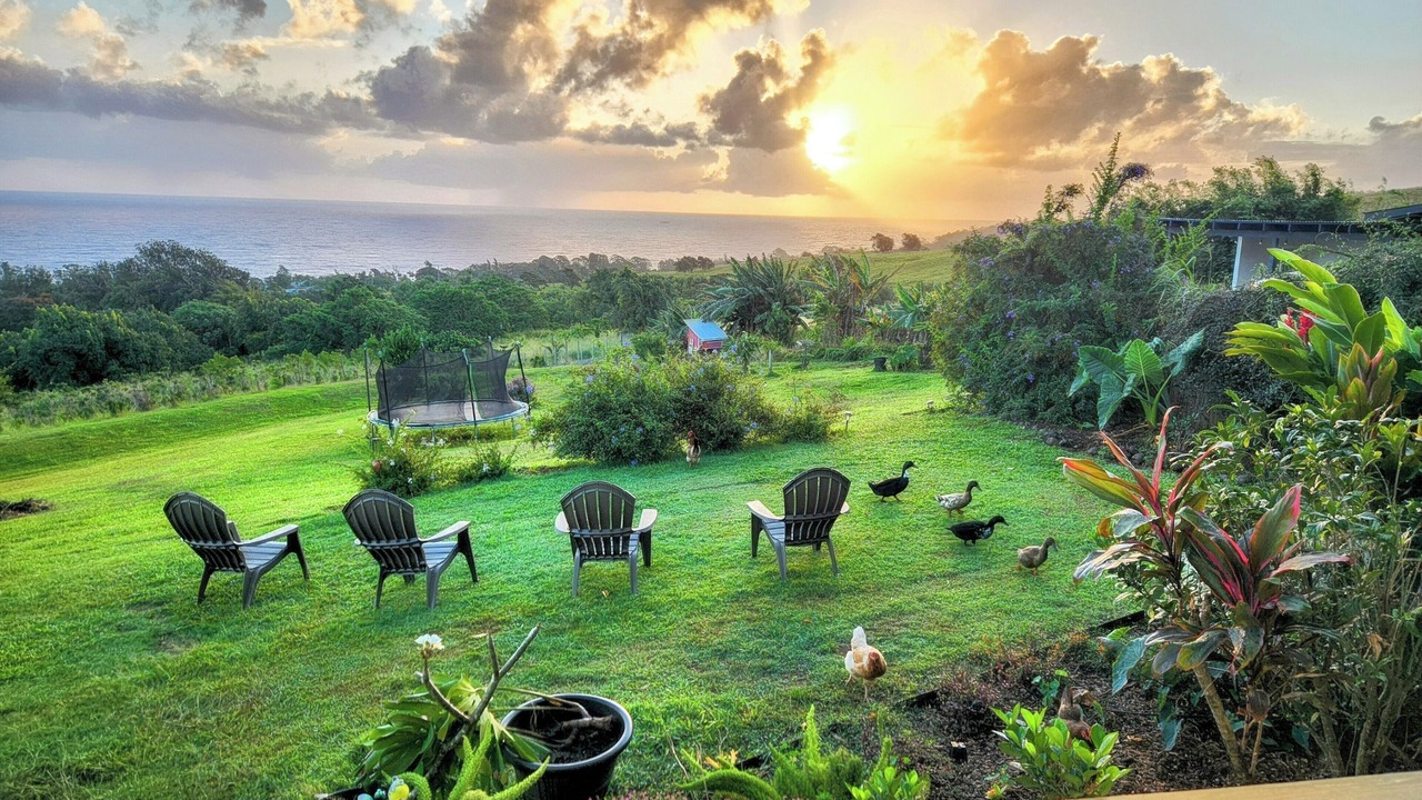 Photo of Others in Papaaloa