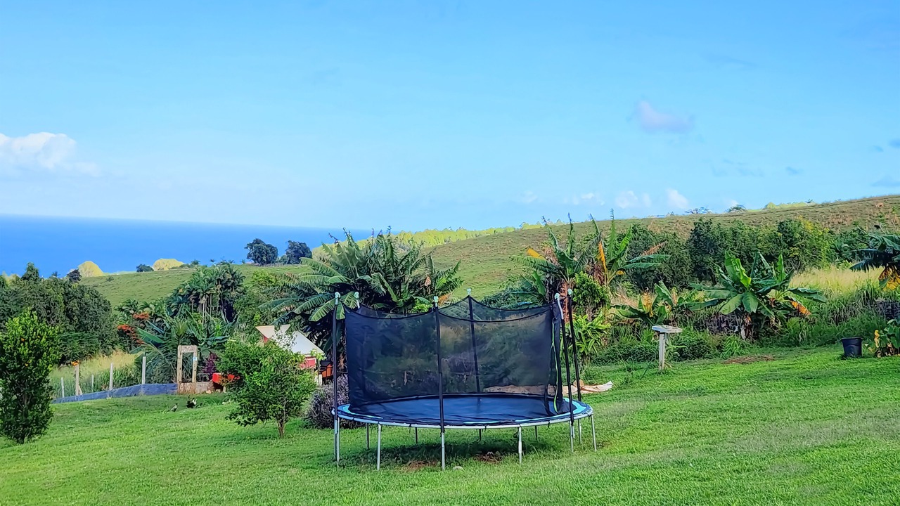 Photo of Others in Papaaloa