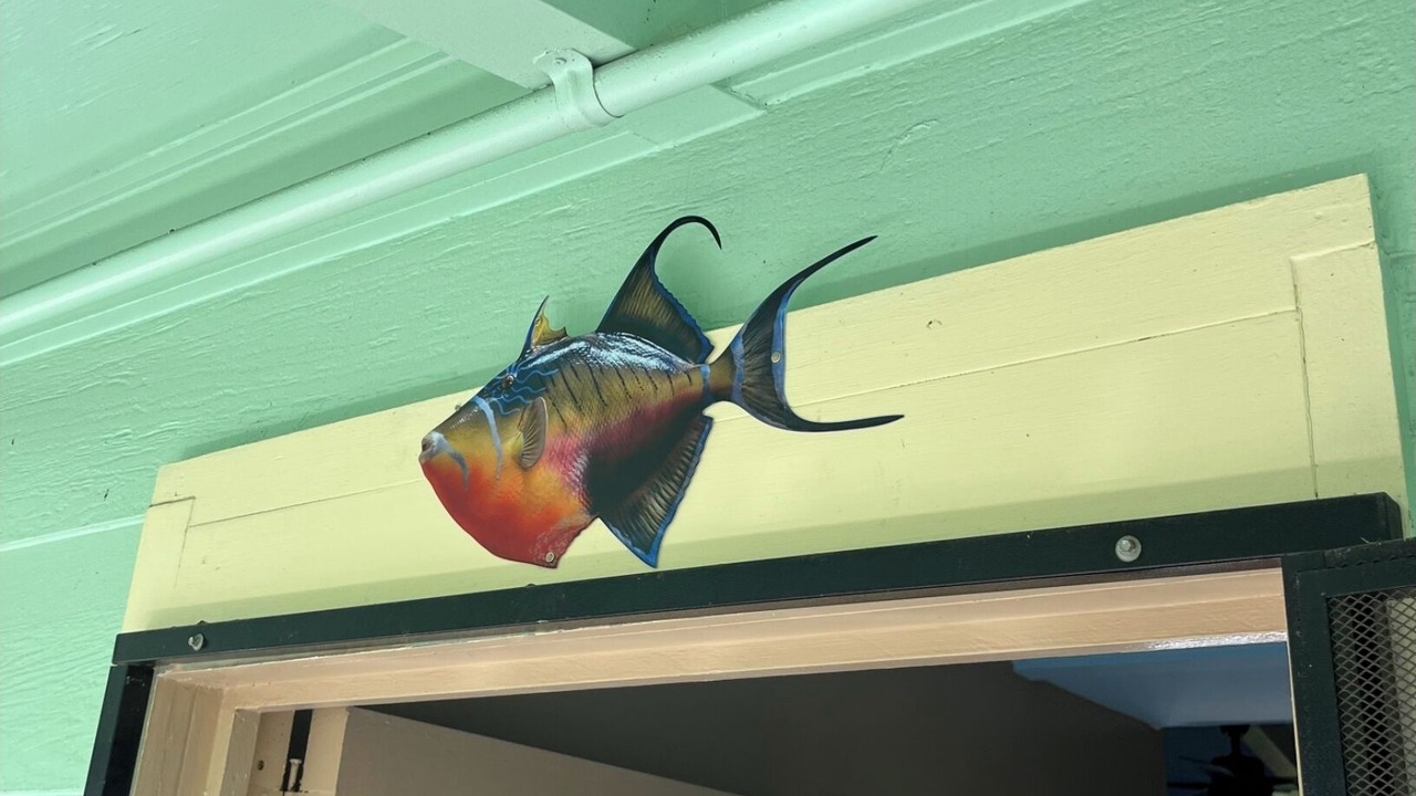 Photo of Others in Keaukaha