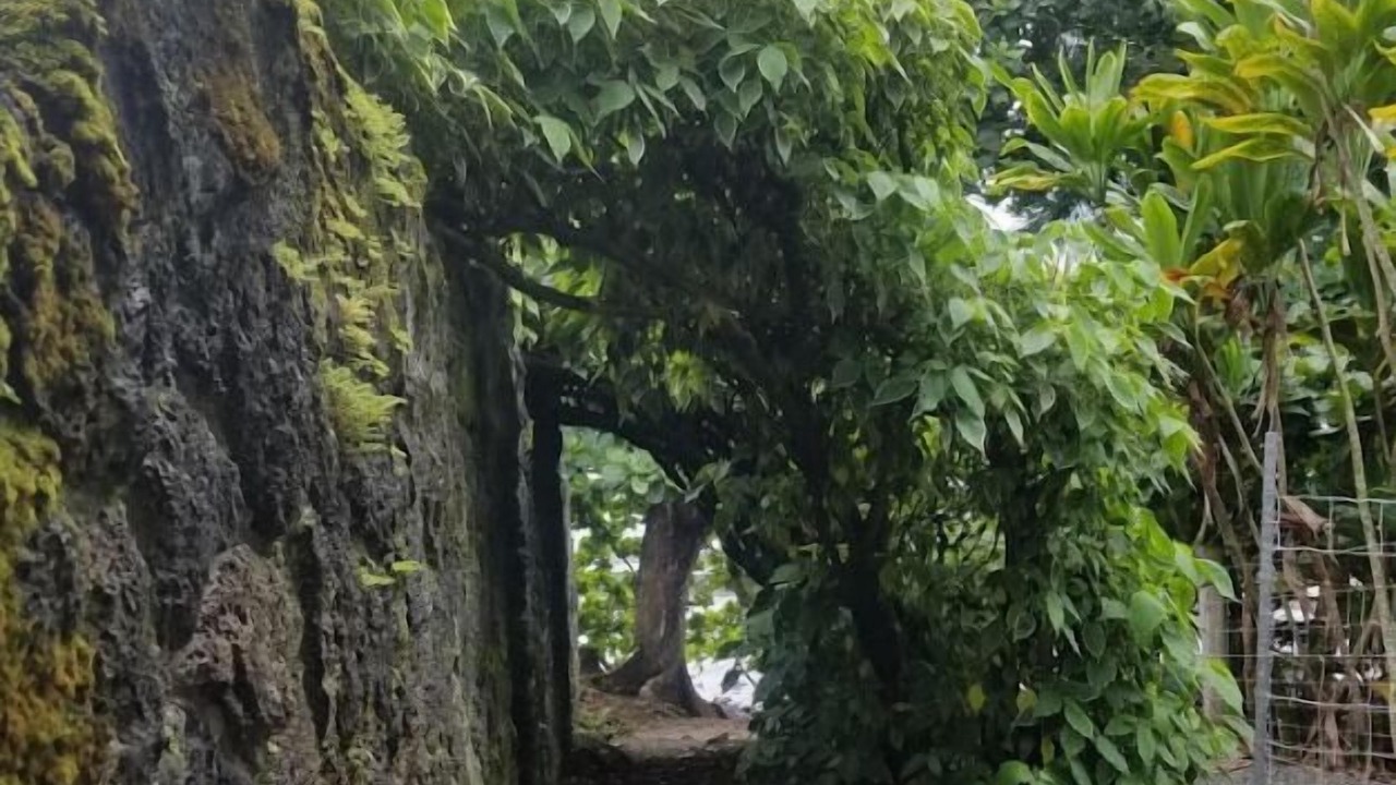 Photo of Outdoor in Keaukaha
