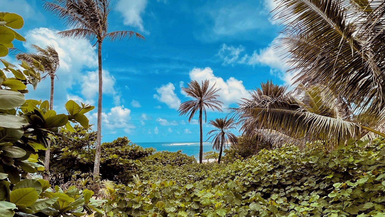 Photo of Outdoor in Pupukea