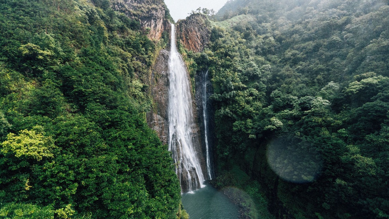 Photo of Others in Kilauea