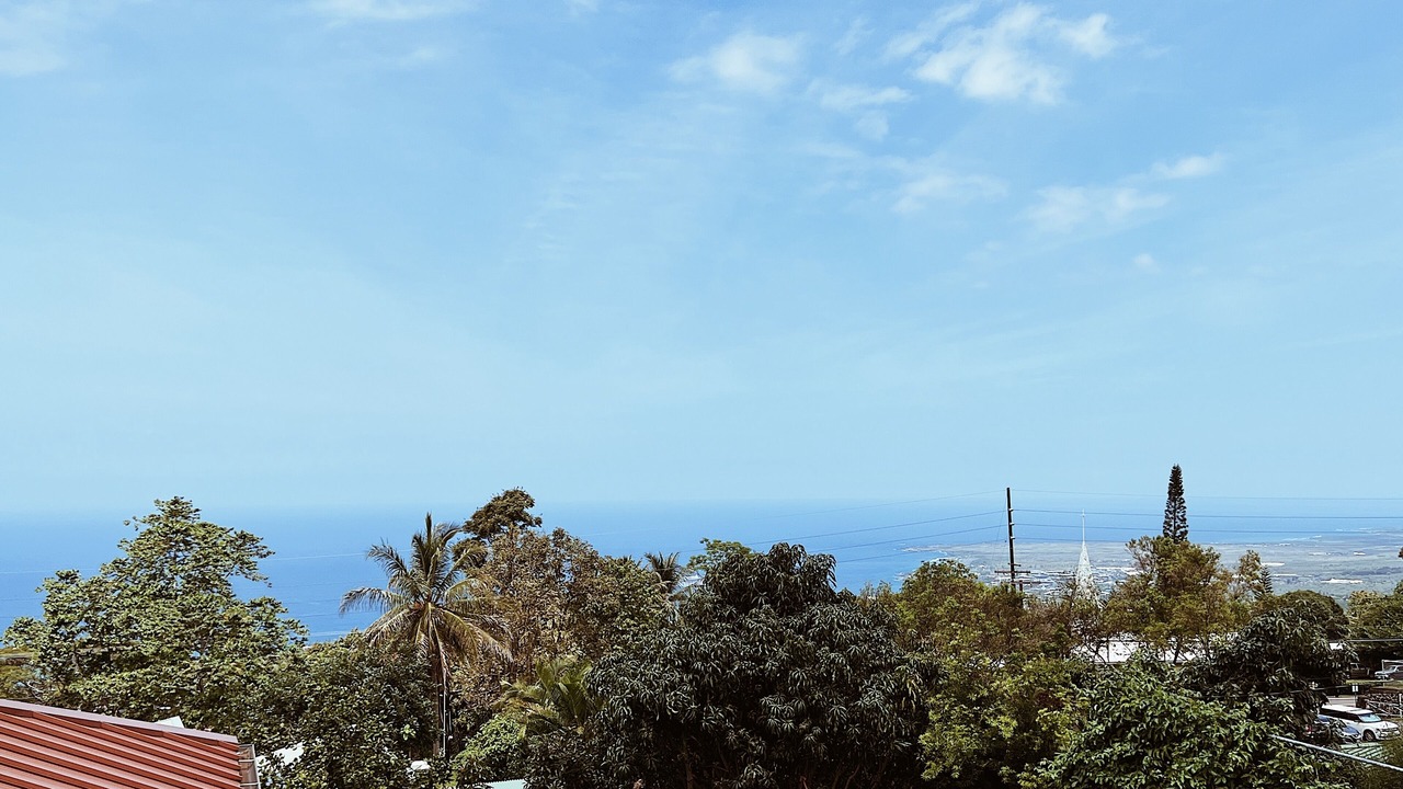 Photo of Others in Holualoa