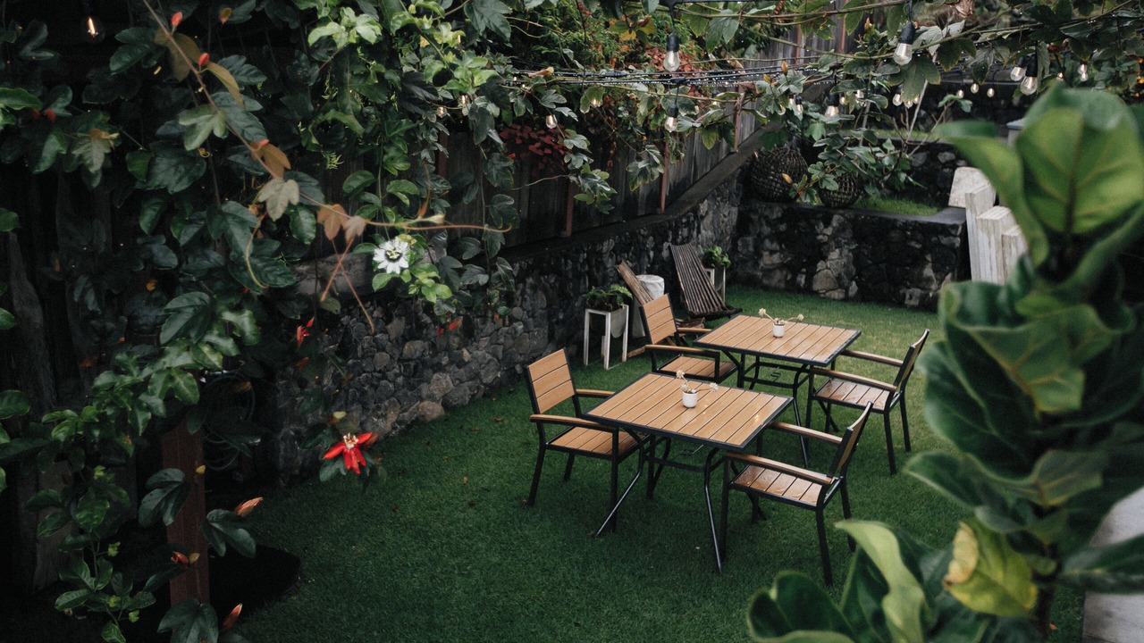 Photo of Outdoor in Holualoa