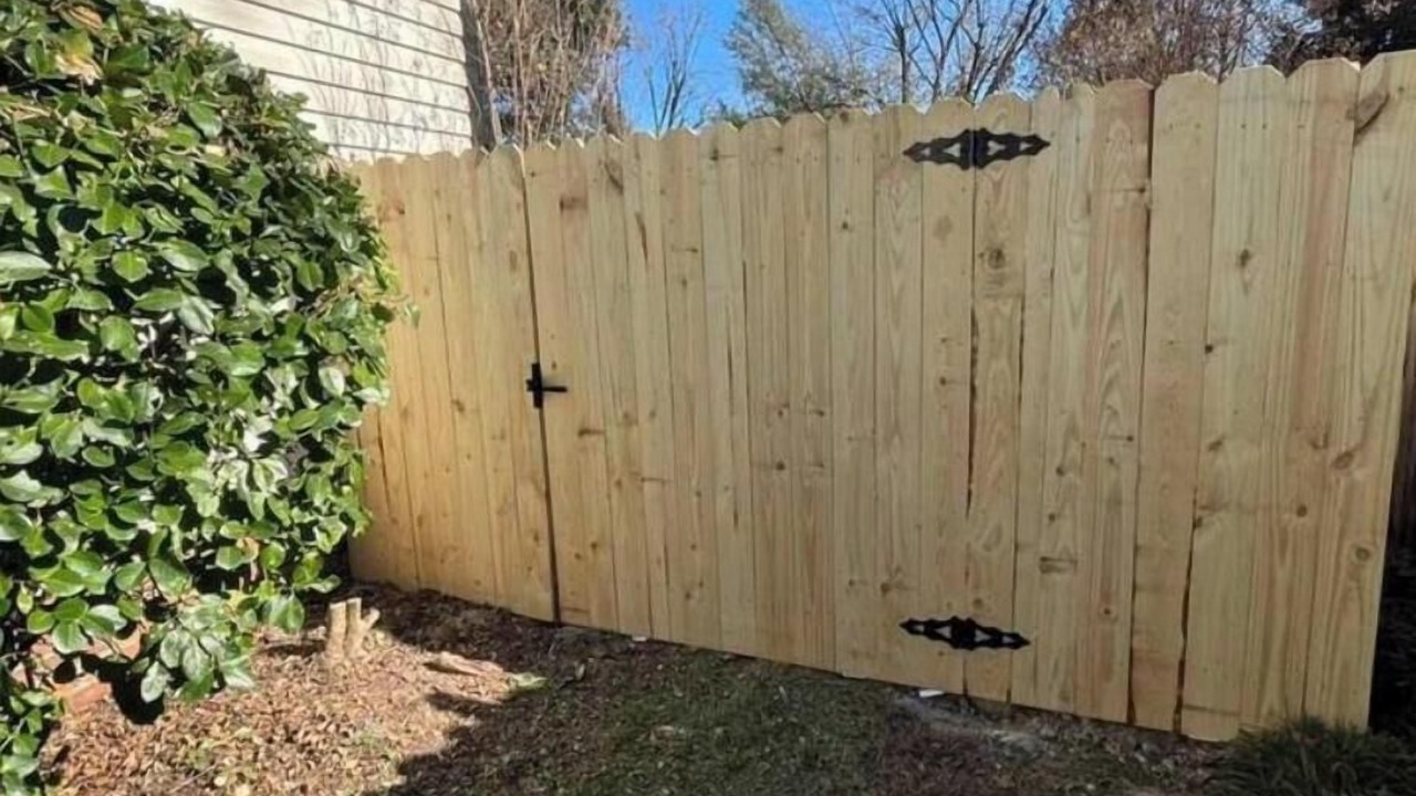 Photo of Outdoor in Terry Sanford