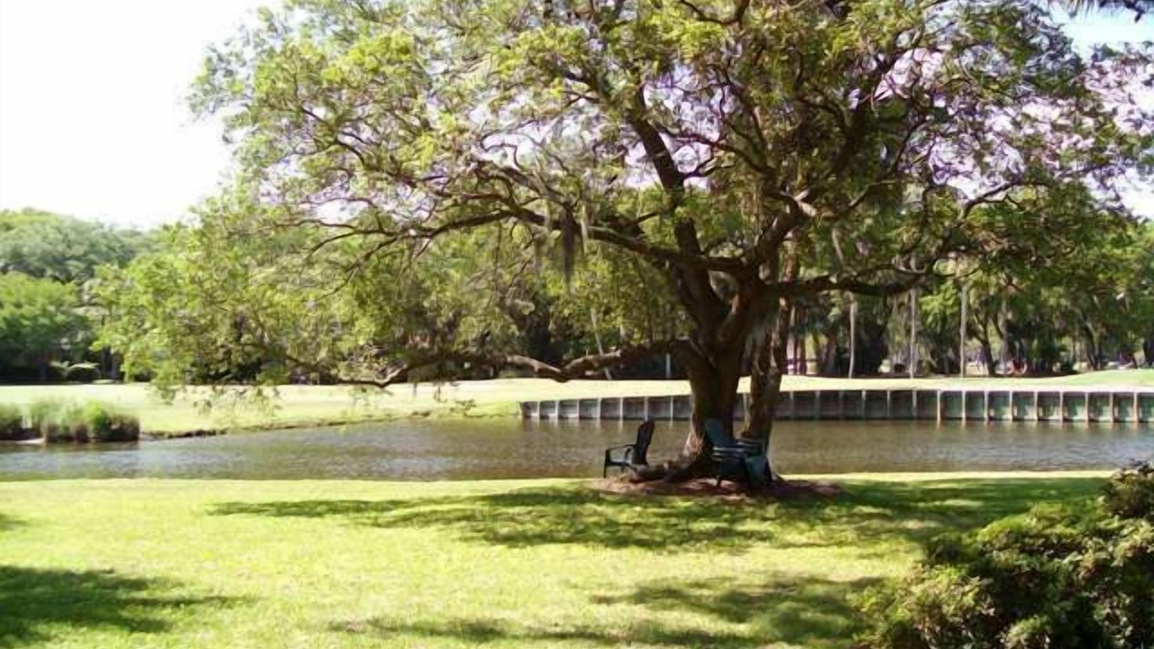 Photo of Others in Beach Lagoon