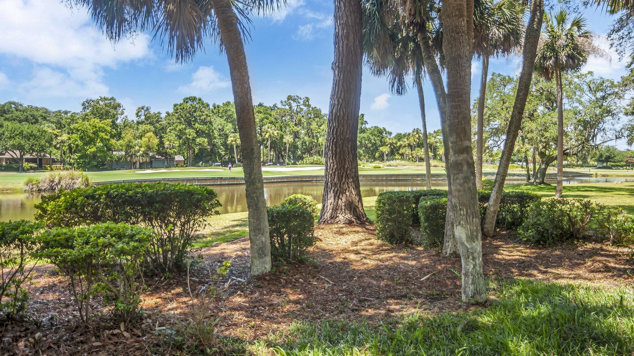 Photo of Outdoor in Beach Lagoon