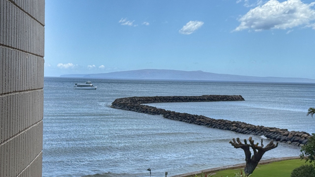 Photo of Others in Maalaea