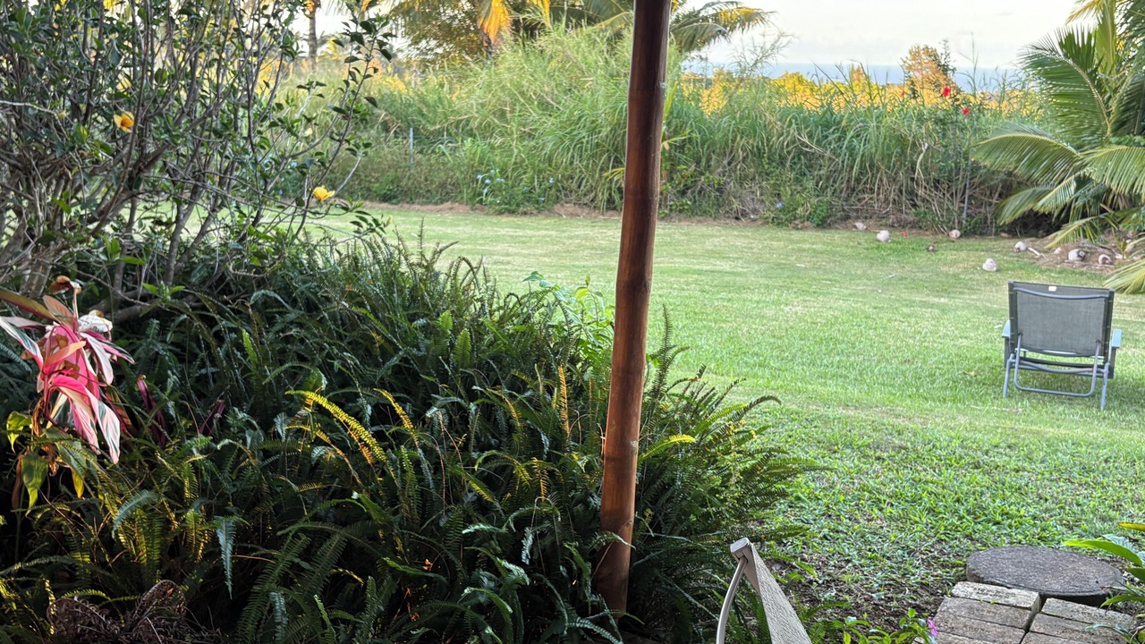 Photo of Outdoor in Haiku