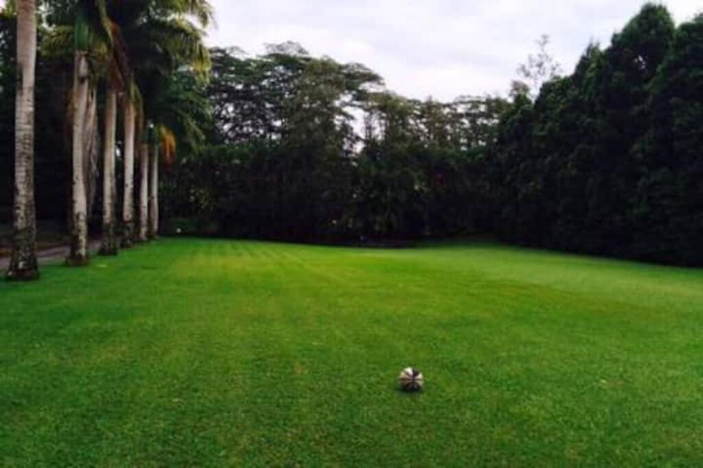 Photo of Others in Keaau