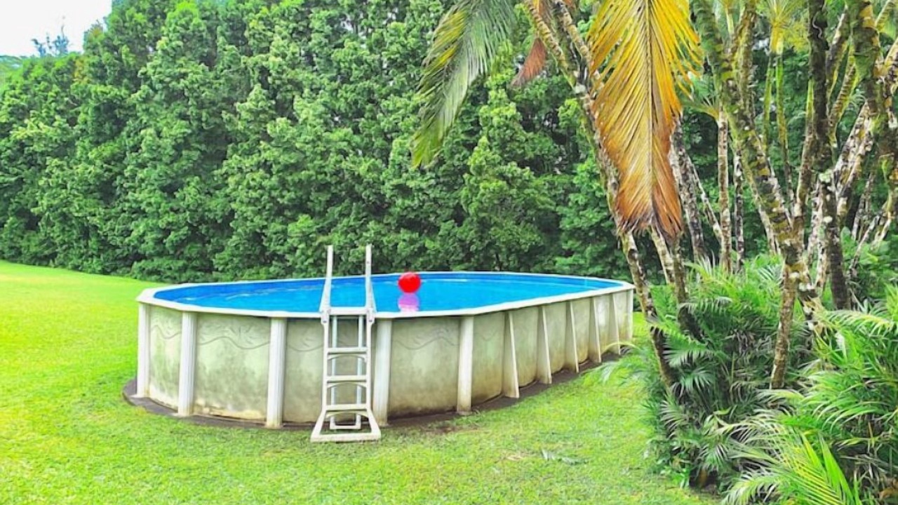 Photo of Outdoor in Keaau