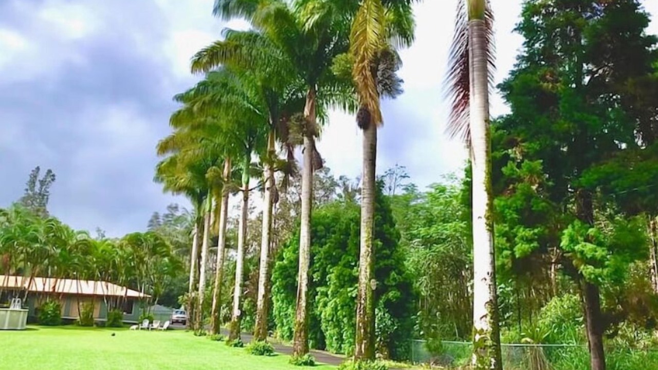 Photo of Outdoor in Keaau