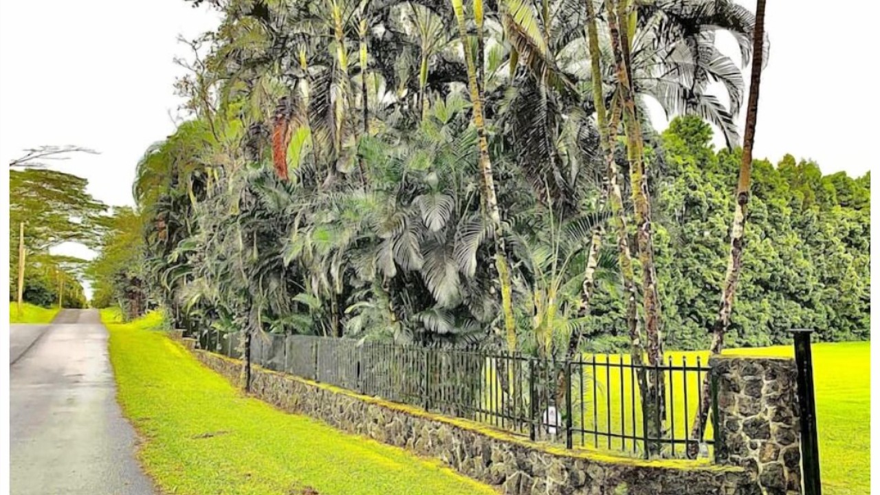 Photo of Outdoor in Keaau