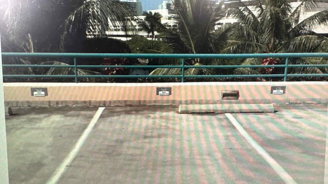 Photo of Others in Waikiki