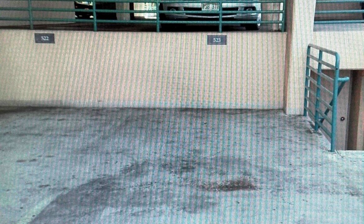 Photo of Outdoor in Waikiki