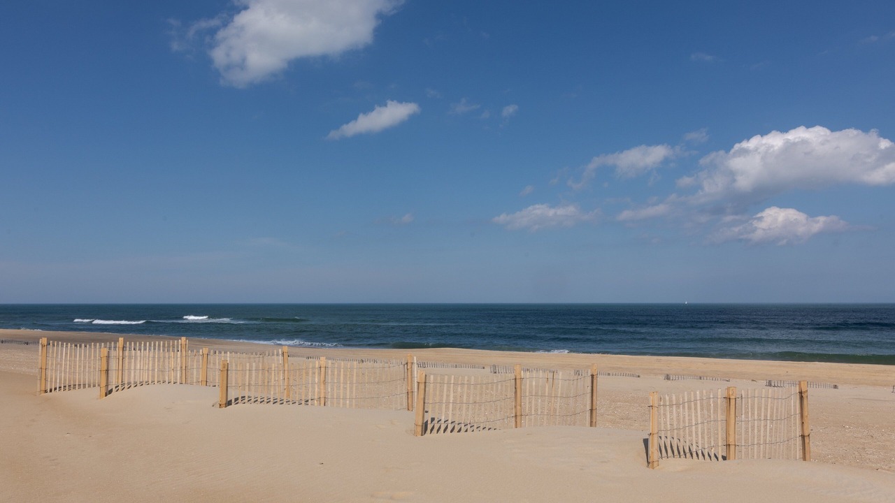 Photo of Others in South Nags Head