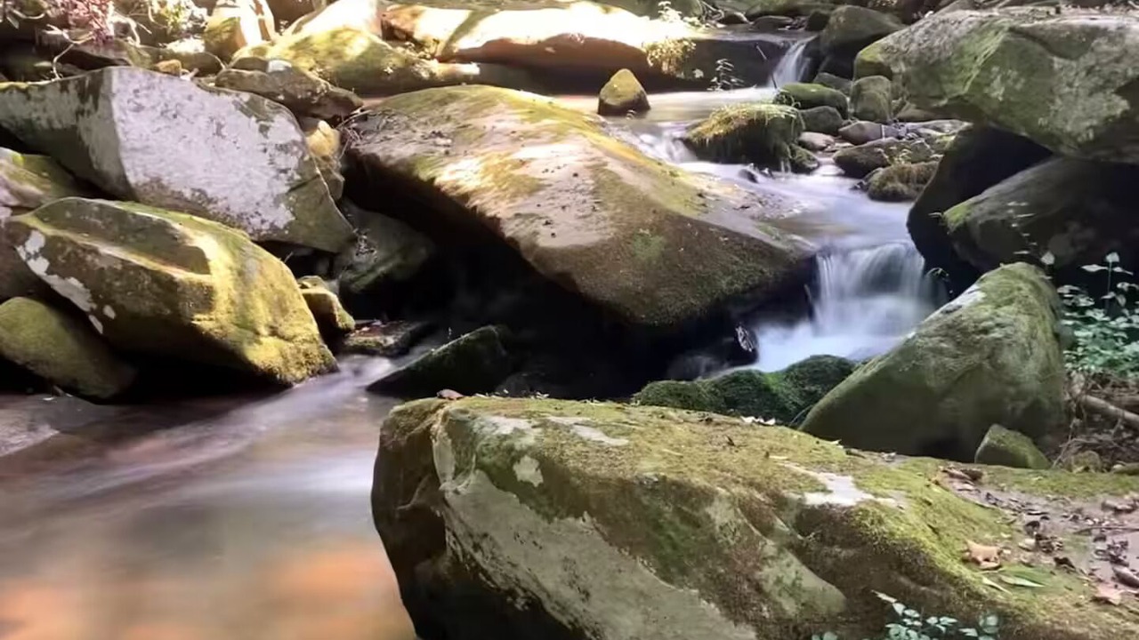 Photo of Others in Moravian Falls