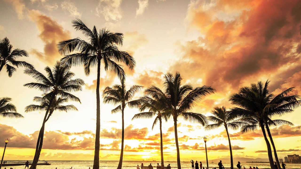 Photo of Others in Waikiki