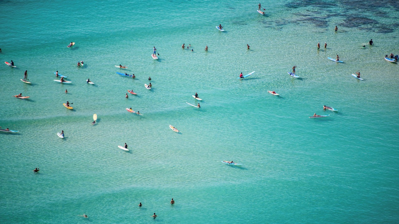 Photo of Outdoor in Waikiki