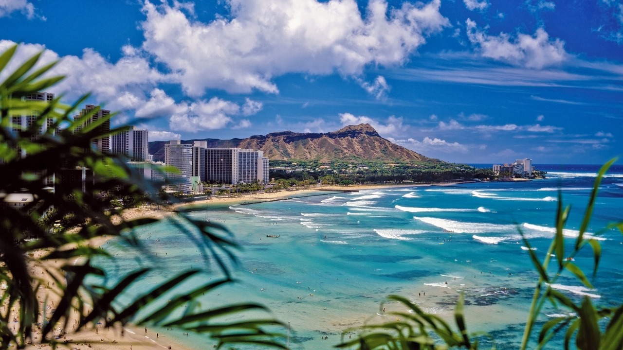 Photo of Others in Waikiki