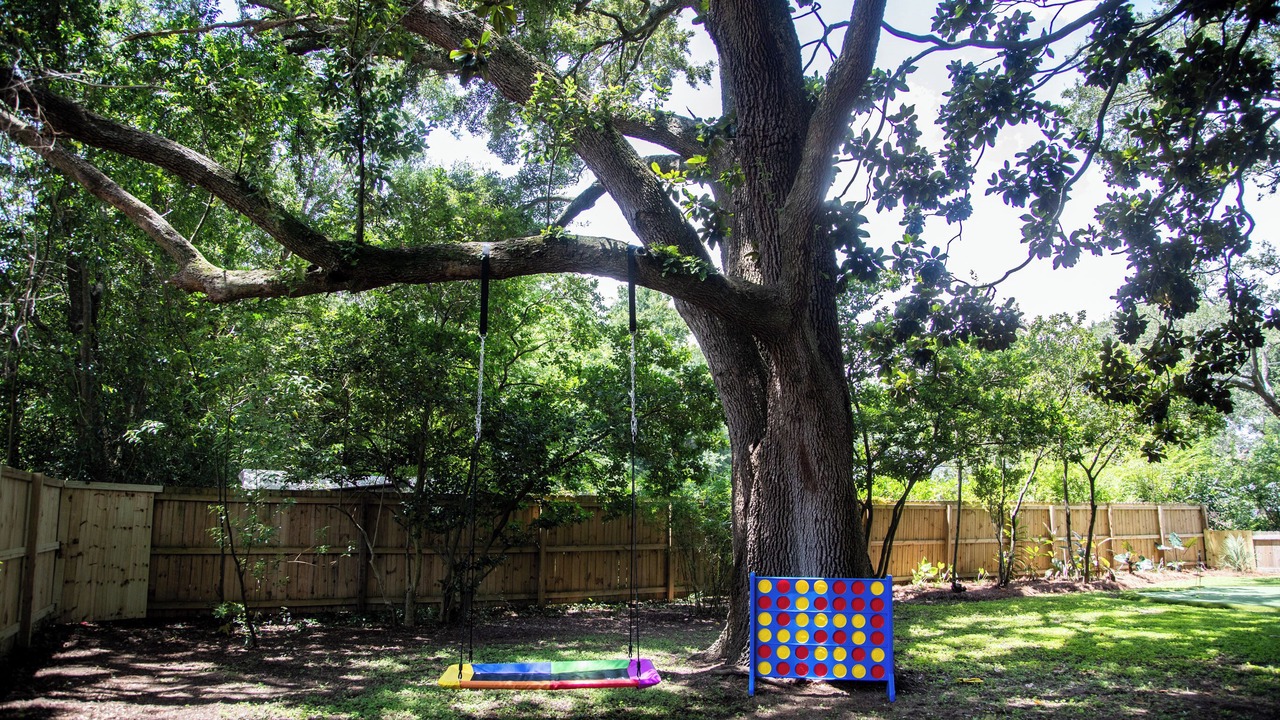Photo of Outdoor in Charleston