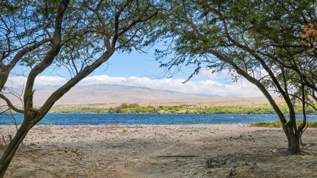 Photo of Others in Puako