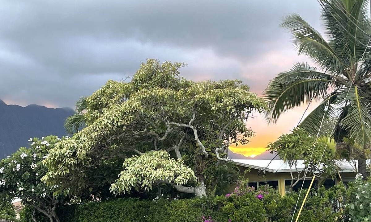 Photo of Others in Waimanalo