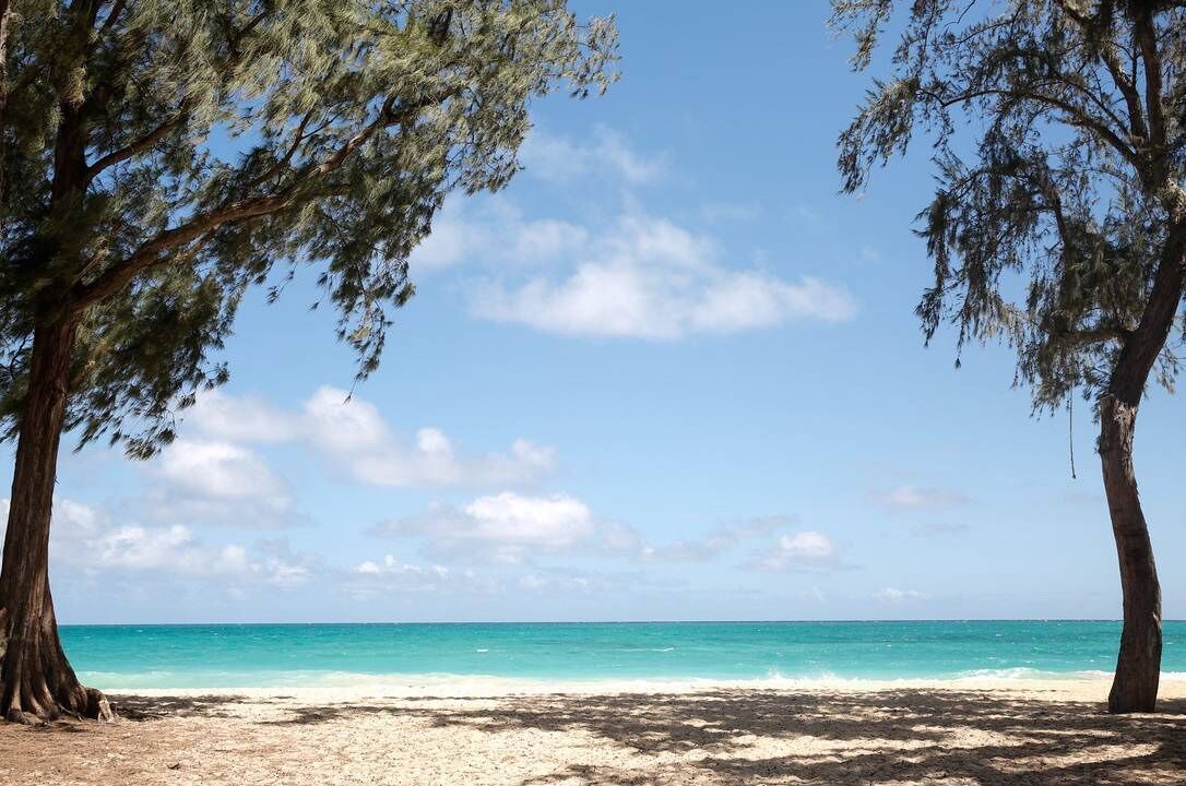 Photo of Others in Waimanalo