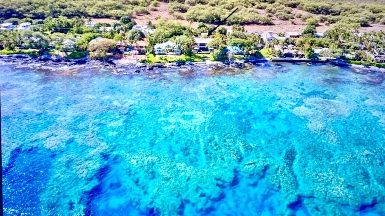 Photo of Others in Kamuela
