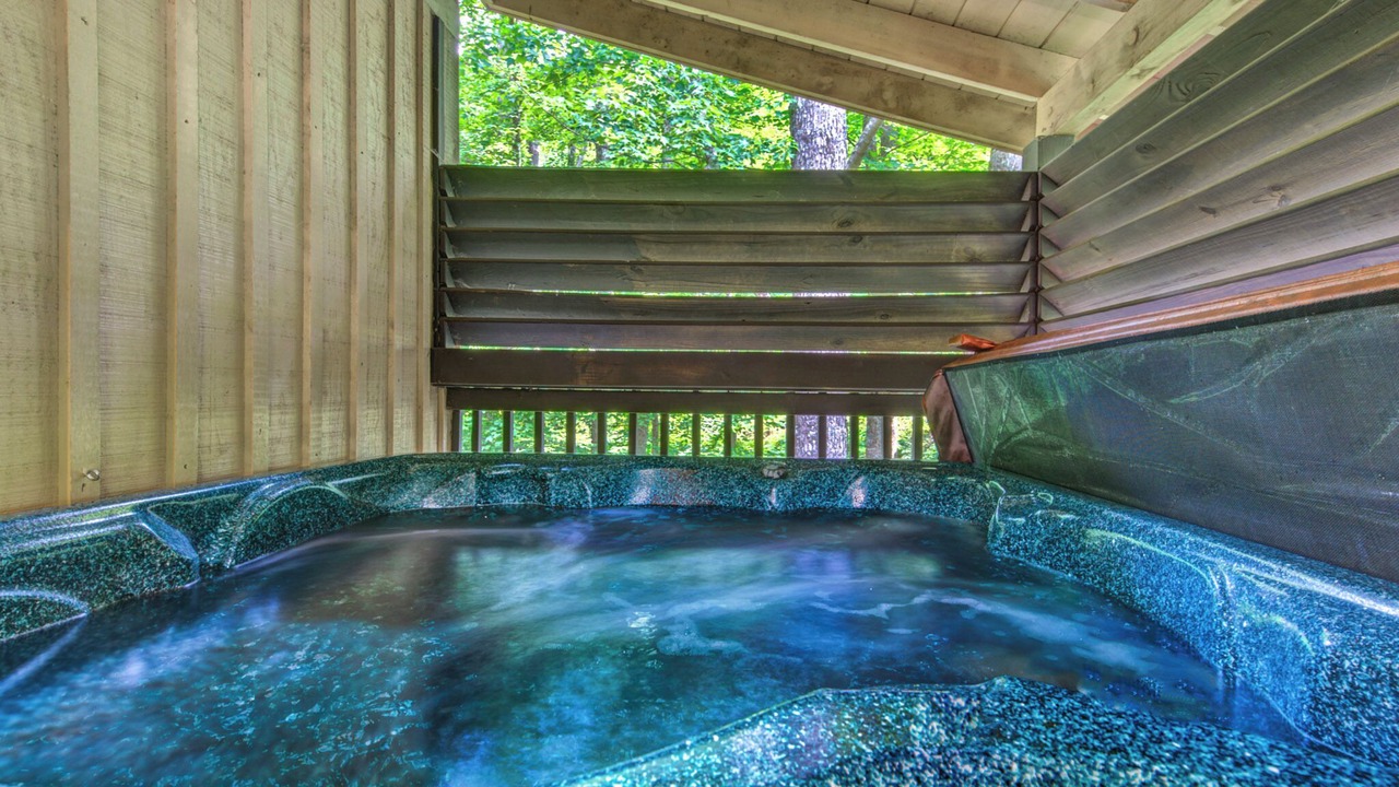 Photo of Others in Smoky Mountains