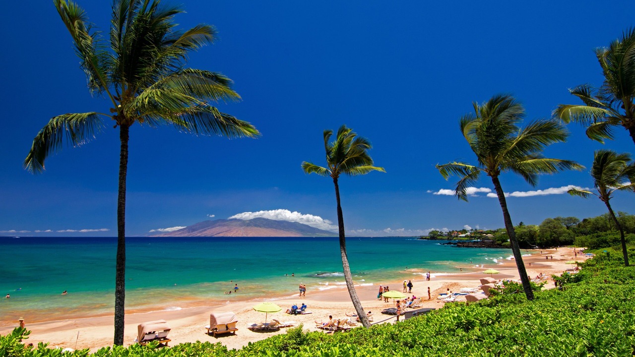 Photo of Others in Kihei