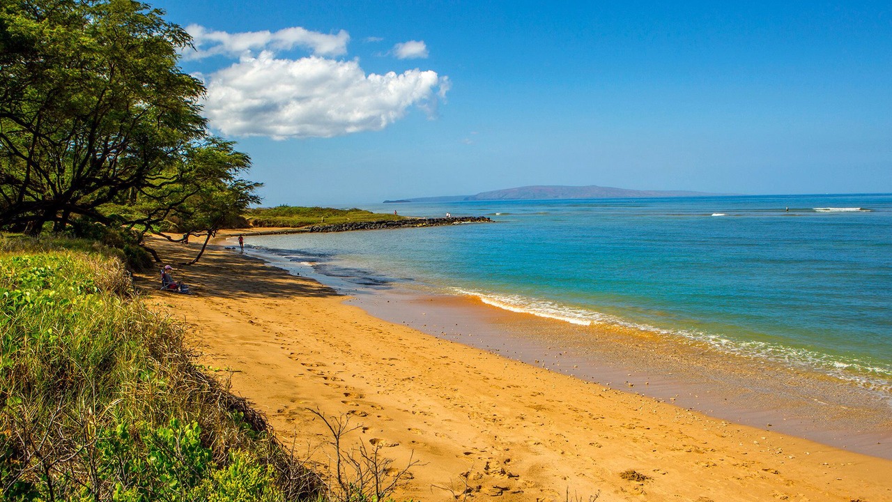 Photo of Others in Kihei