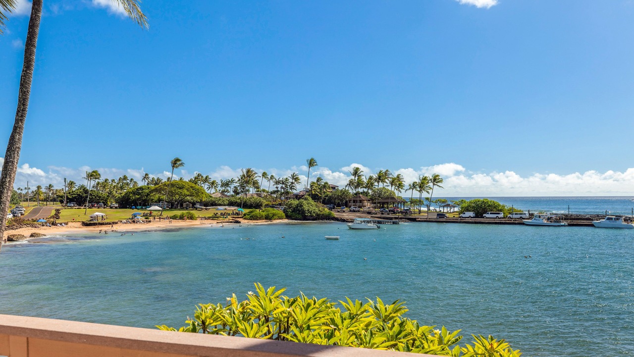 Photo of Others in Poipu