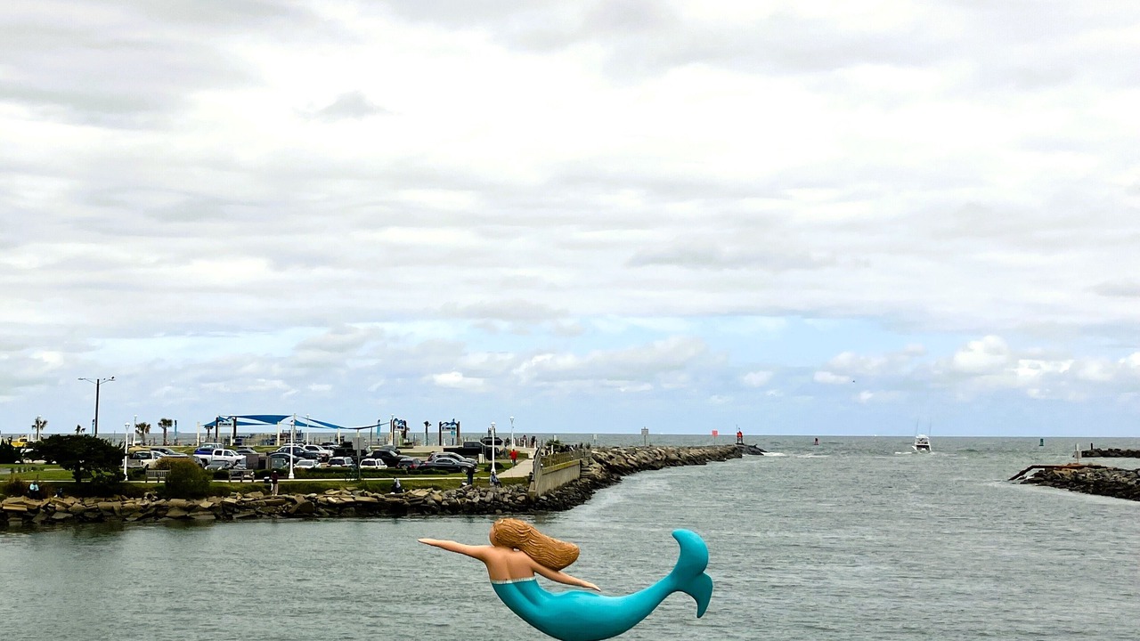 Photo of Others in Dam Neck