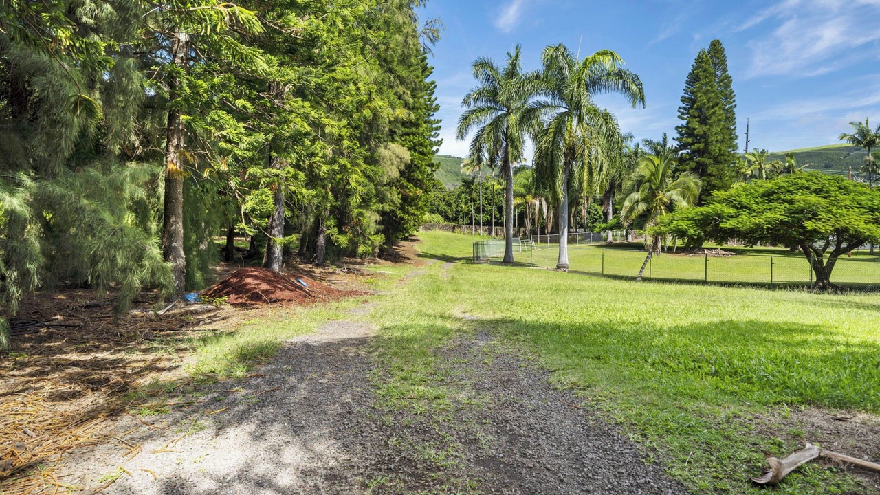 Photo of Outdoor in Naalehu