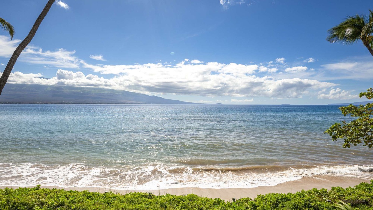 Photo of Others in Maalaea