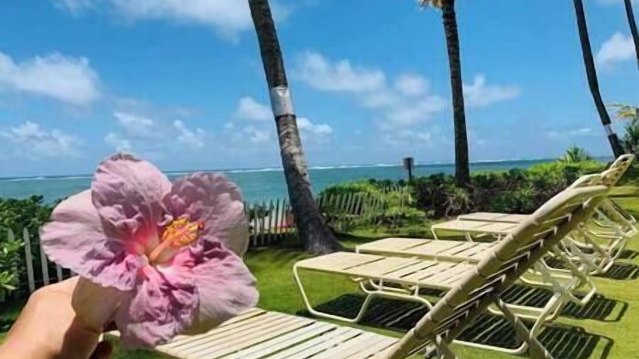 Photo of Others in Hauula