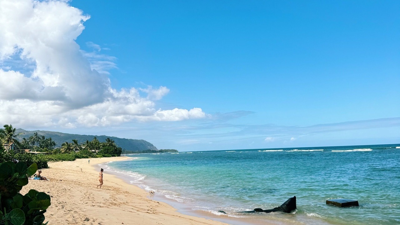 Photo of Others in Mokuleia