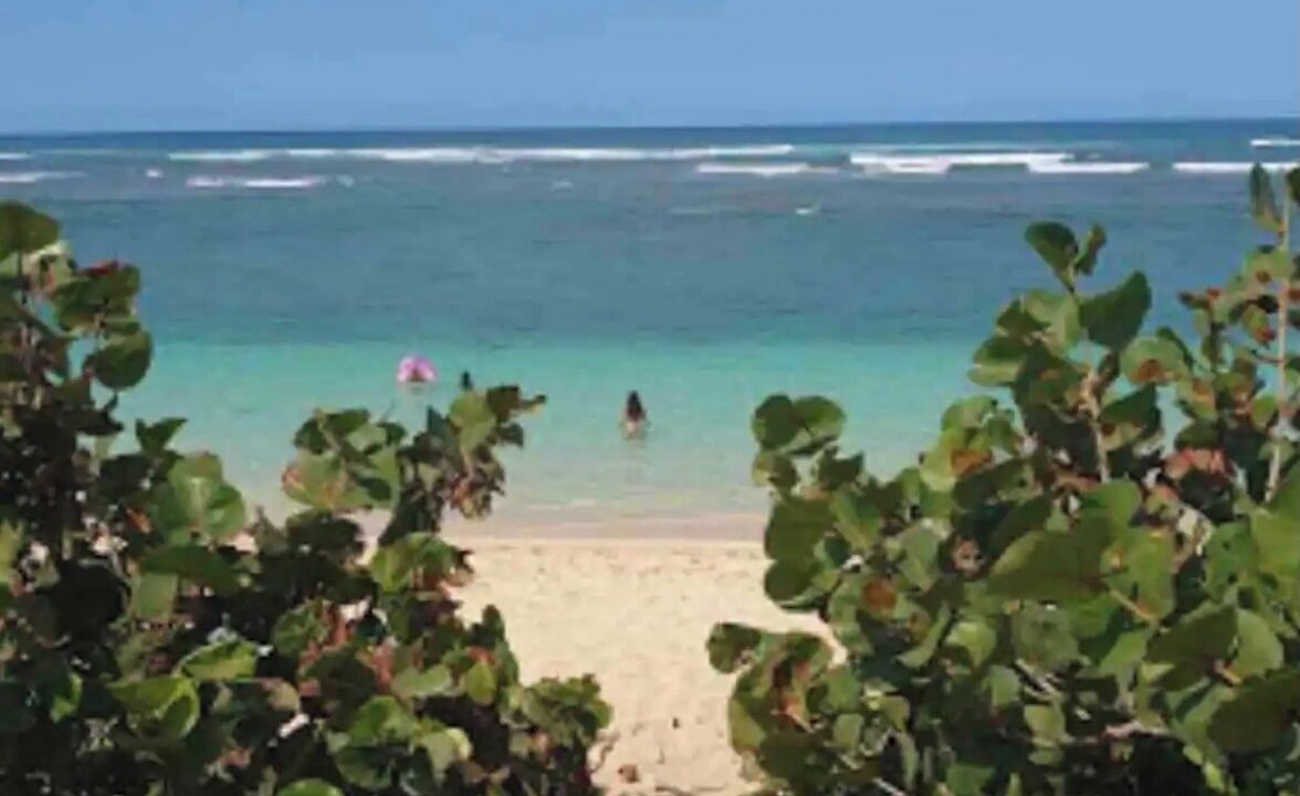 Photo of Others in Mokuleia