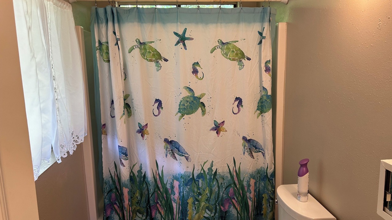 Photo of Bathroom in Kapoho