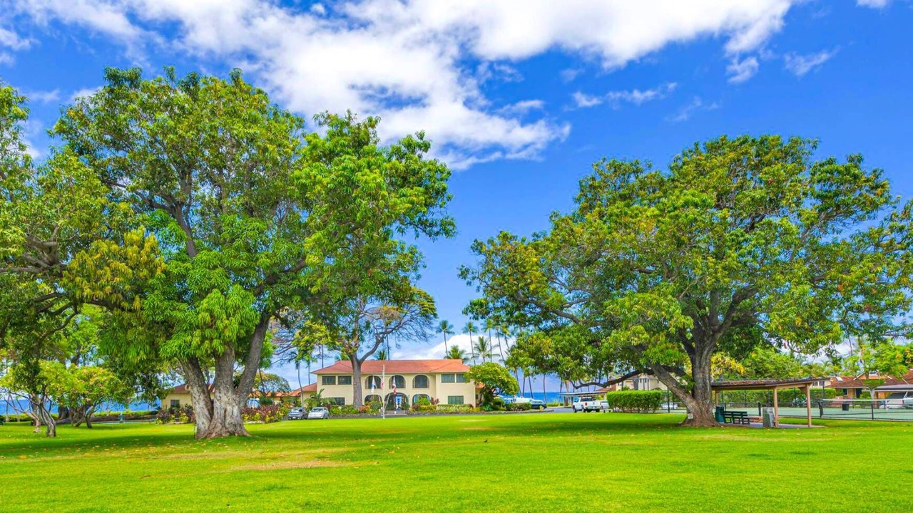 Photo of Outdoor in Downtown Lahaina
