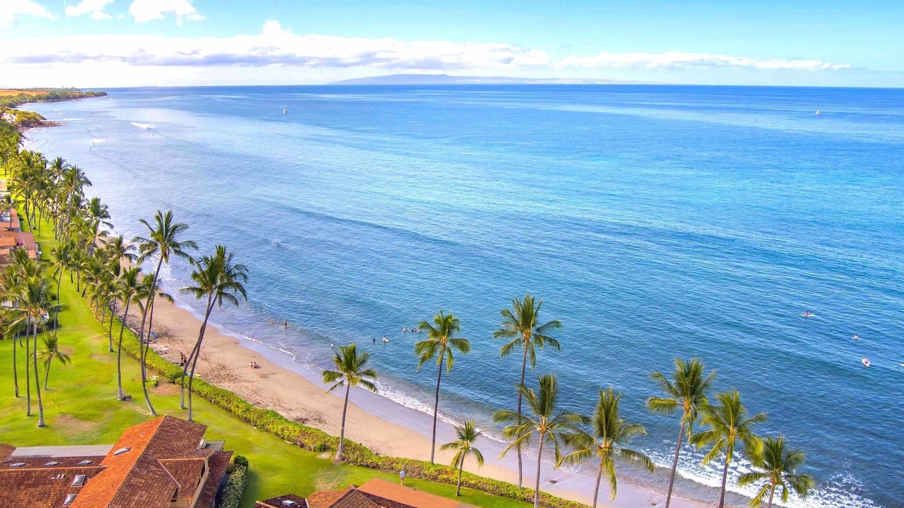 Photo of Others in Downtown Lahaina